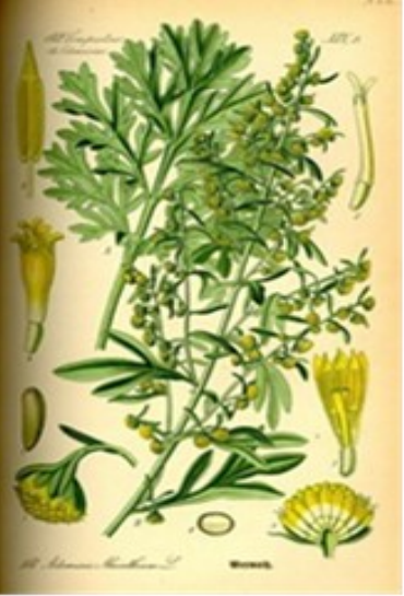 Absintalsem