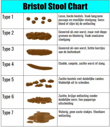 Bristol stool chart